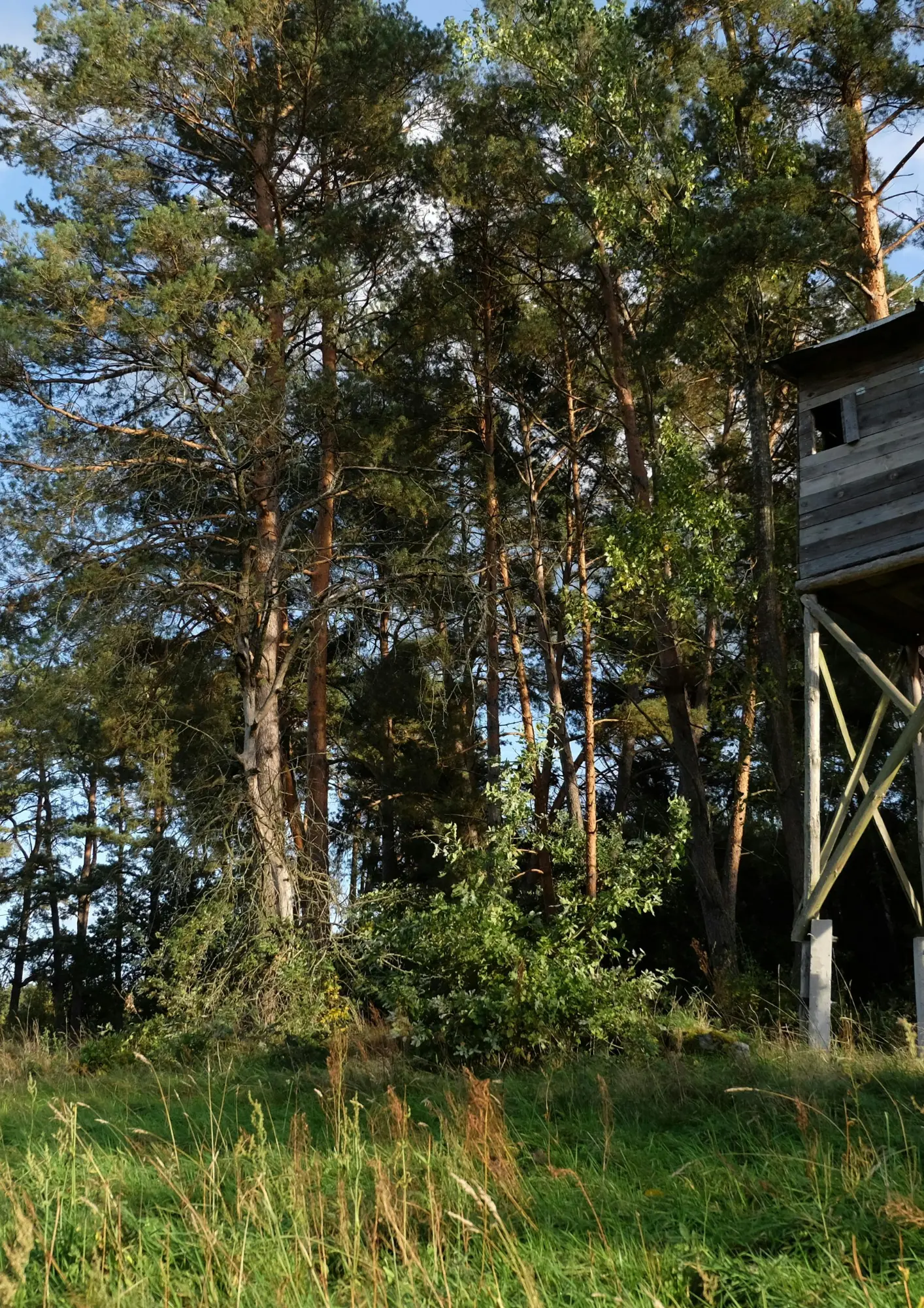 Mystère du disque céleste 3